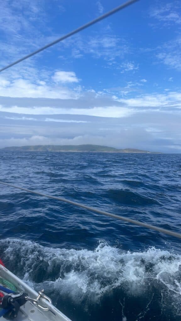 Fastnet August 2025 : Seabird NITBY awarded — image 11