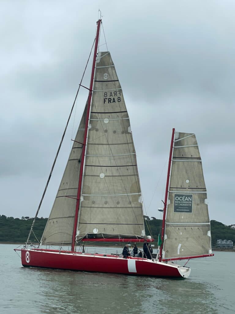 Fastnet August 2025 : Seabird NITBY awarded — image 6