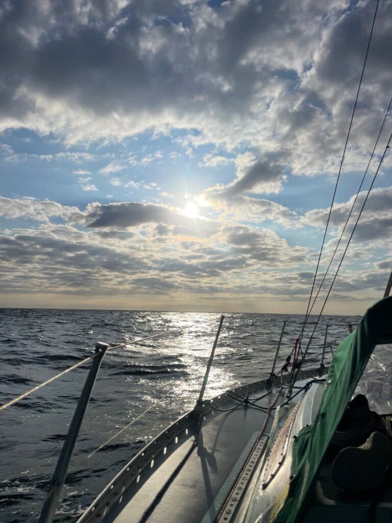 Fastnet August 2025 : Seabird NITBY awarded — image 9